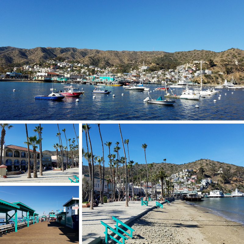 Catalina Island, Excursions in Catalina Island, Catalina Island Excursions