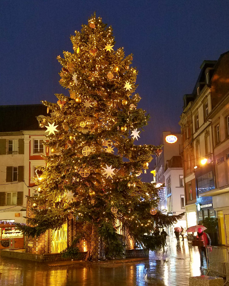 Christmas Tree in Mulhouse France