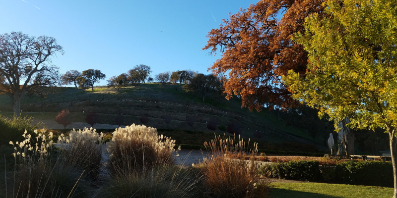 Rolling Hills in Paso Robles